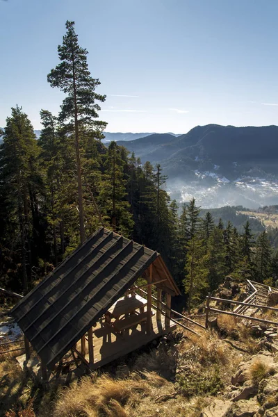 Bower in the mountain forest on a sunny day — Stock Photo, Image