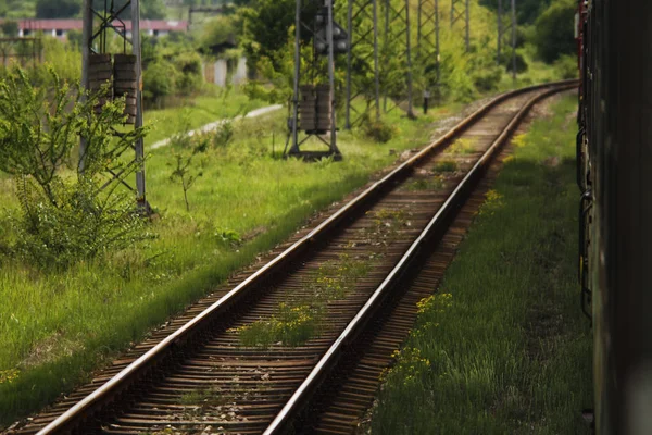 Järnvägar i skogen. Calmng och positiva — Stockfoto