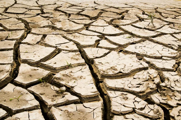 Terreno con tierra seca. Desastre — Foto de Stock