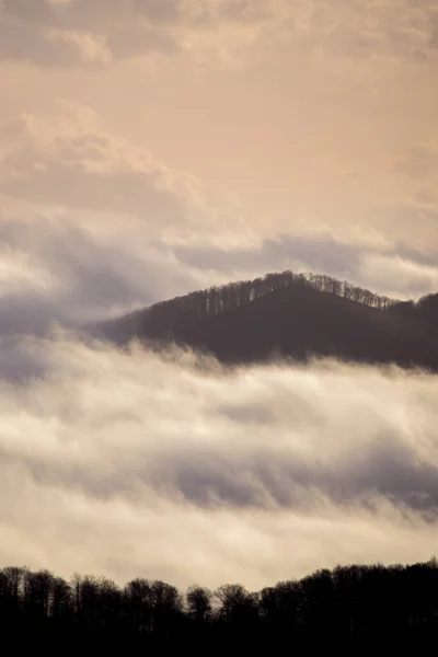 Foggy mountains at sunrise at long exposure. Concept: floating island — Zdjęcie stockowe