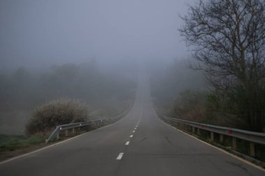 Baharda ağaçlarla kaplı sisli bir yol. Bahar havası ve tehlikeli yol