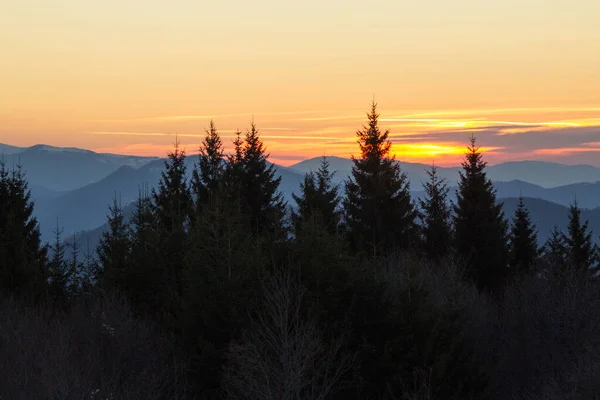 日出时山与树的轮廓与景观 — 图库照片