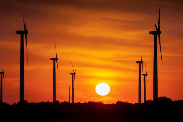 VIND POWER GENERATORS ONSHORE SILHOUETTES WITH SUNSET — Stockfoto