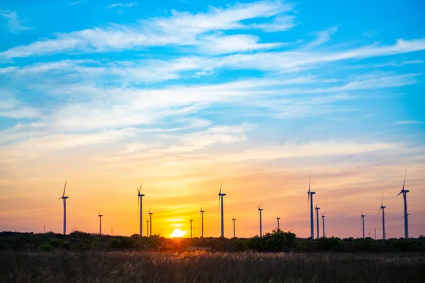 Wind Power Generators Onshore Silhouettes Sunsetem Plecy — Zdjęcie stockowe