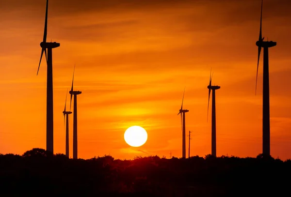 Vind Power Generators Onshore Silhouettes Sunset Back — Stockfoto