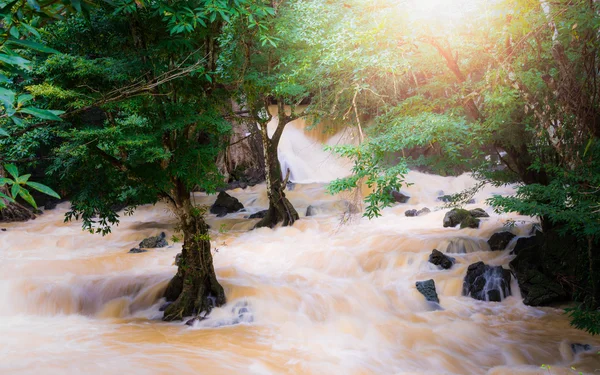 Tropický deštný prales a stream v provincii Phang Nga — Stock fotografie