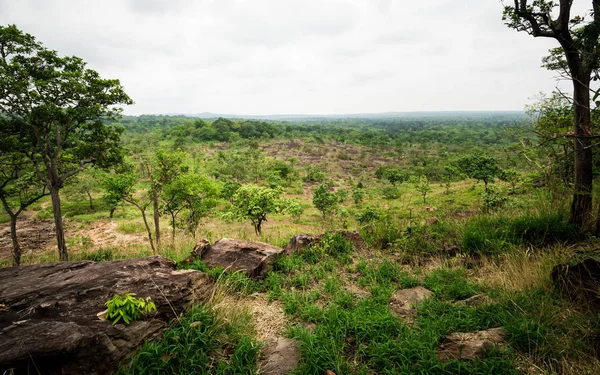 Landscape of cambodia border view from thailand — Stok Foto