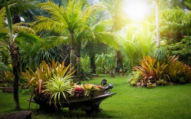 Yaz aylarında tropikal Bahçe.