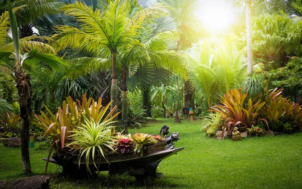 Yaz aylarında tropikal Bahçe.