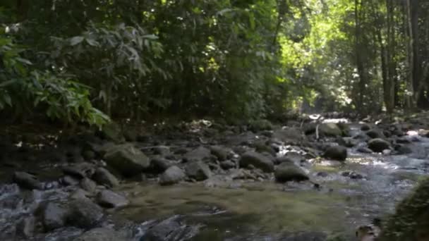 Tropik Yağmur Ormanı Şelalesi Anne Kızıyla Birlikte Yazın Tayland Yürüyüş — Stok video