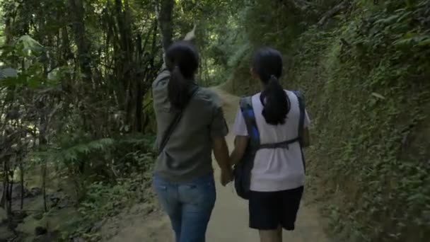 タイの熱帯雨林から流れる川沿いのハイキングコースで 母と娘の後ろ姿が手を携えて歩いています — ストック動画