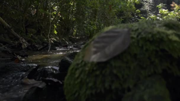Ruisseau de forêt tropicale pluviale qui coule de la cascade sous la lumière du soleil pendant l'été en Thaïlande .