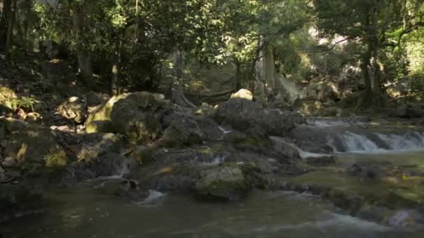 Paisaje Cascada Bajo Sombra Árboles Selva Tropical Con Agua Dulce — Vídeo de stock