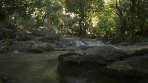 Krajobraz Wodospadu Cieniu Drzew Lesie Deszczowym Słodką Wodą Płynącą Góry — Wideo stockowe