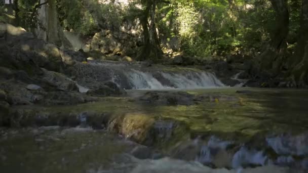 Paisaje Cascada Bajo Sombra Árboles Selva Tropical Con Agua Dulce — Vídeo de stock