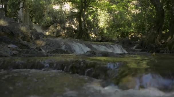 Paysage Cascade Ombre Des Arbres Dans Forêt Tropicale Avec Eau — Video