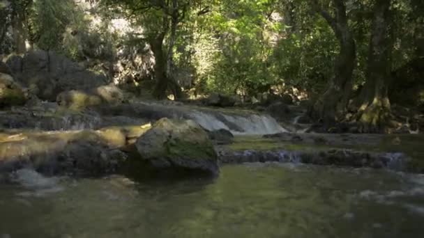 Τοπίο Του Καταρράκτη Κάτω Από Σκιά Των Δέντρων Στο Τροπικό — Αρχείο Βίντεο