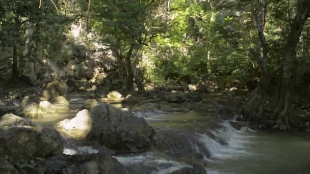 Yağmur Ormanlarındaki Ağaçların Gölgesinin Altındaki Şelale Manzarası Tayland Daki Dağdan — Stok video