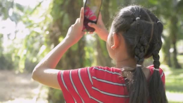 Ásia Bonito Menina Usando Celular Óleo Palma Plantação Sob Luz — Vídeo de Stock