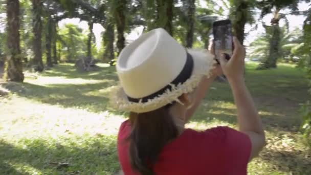 Жіночий Садівник Ходить Олійній Долоні Використовуючи Мобільний Телефон Під Сонячним — стокове відео