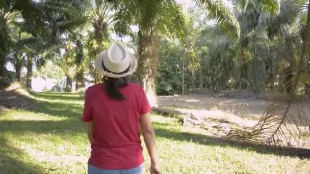 Vrouwelijke Plantenbak Verzorgt Het Product Wandelt Oliepalmplantage Onder Zonlicht — Stockvideo