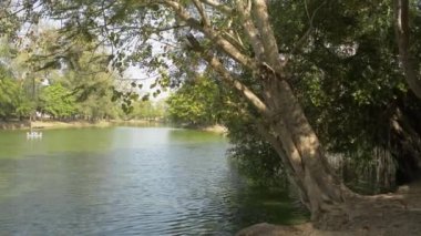 Tayland 'da yaz boyunca parktaki büyük ağaçlarla doğal havuz manzarası