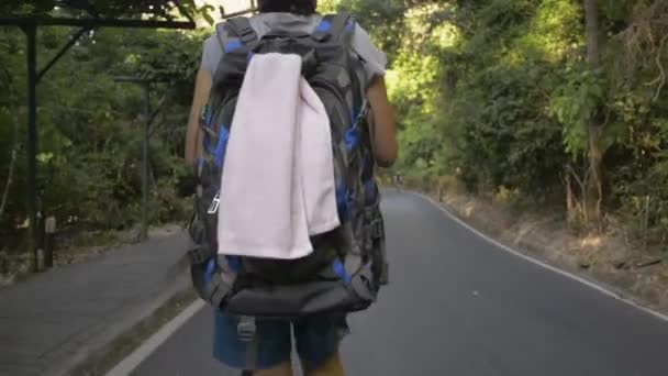 Rear Back View Asian Female Hiker Walking Backpack Tropical Rain — Stockvideo