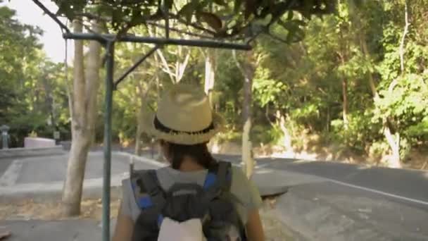 Visão Traseira Traseira Caminhante Feminino Asiático Andando Com Mochila Através — Vídeo de Stock