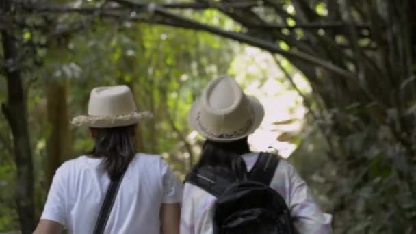 Vue Arrière Mère Fille Marchent Main Dans Main Sur Sentier — Video