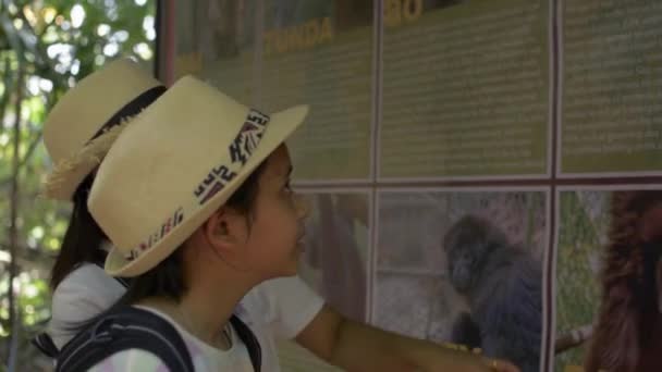 Mãe Está Dando Informações Com Filha Sobre Vida Gibão Floresta — Vídeo de Stock