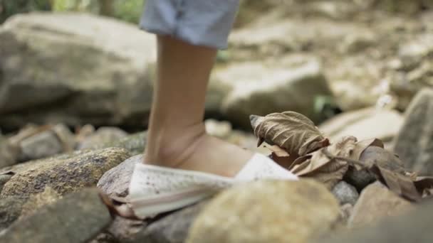 Close Woman Legs Walking Rock Tropical Jungle — Stock Video