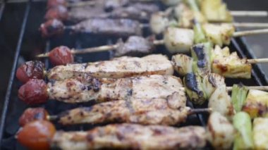 Kömür ızgarasında kızartılan tavuk ve et parçaları. Piknik sırasında ızgara et yemek..