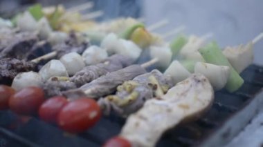 Tavuk, sığır eti ve balık eti parçaları mangalda kızartılıyor. Piknik sırasında ızgara et yemek..