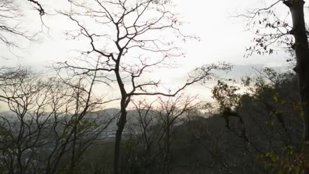 丘陵上的热带森林的景象 傍晚时分 从山上鸟瞰着干枯的树木 全球变暖概念 — 图库视频影像