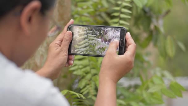 Kadın Botanikçi Doğal Eğreltiotu Çevrenin Resmini Doğal Parkta Cep Telefonu — Stok video