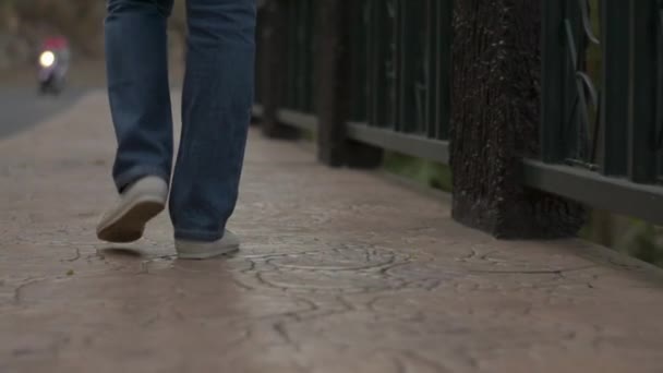 Widok Tyłu Azjatyckiej Kobiety Noszącej Okulary Sukience Casual Spacerując Spokojnie — Wideo stockowe