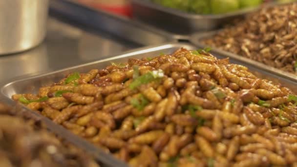 Sluit Gekookte Insecten Wormen Metalen Dienblad Lokale Voedselmarkt Iconische Streetfood — Stockvideo