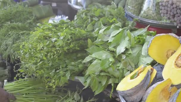 Verduras Locales Orgánicas Frescas Que Venden Mercado Agricultores Por Mañana — Vídeos de Stock