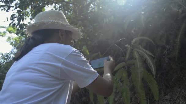 女植物学家头戴草帽 用手机拍照 在热带森林里种植茂密的蕨类 进行研究 — 图库视频影像