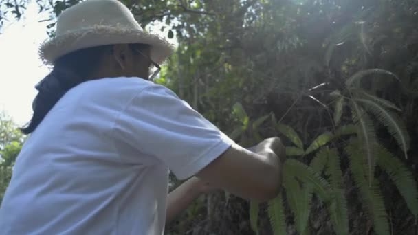 Hasır Şapka Takan Kadın Botanikçi Yaz Boyunca Araştırma Yapmak Için — Stok video