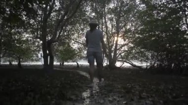 Sıradan elbiseli kadın botanikçi, gün batımında Pofet 'te alçak gelgit sırasında araştırma yapmak için mangrov ormanındaki bitkilerin bolluğunu izlemek ve yürümektir..