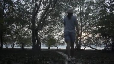 Sıradan elbiseli kadın botanikçi, gün batımında Pofet 'te alçak gelgit sırasında araştırma yapmak için mangrov ormanındaki bitkilerin bolluğunu izlemek ve yürümektir..