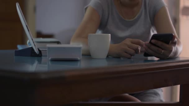 Kobieta Sprawdza Płatności Online Telefonu Komórkowego Obliczyć Wydatki Salonie Domu — Wideo stockowe
