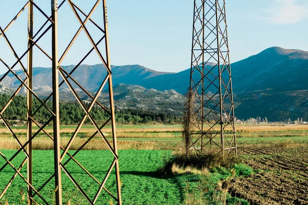 Columnas eléctricas junto a tierras de cultivo — Foto de Stock