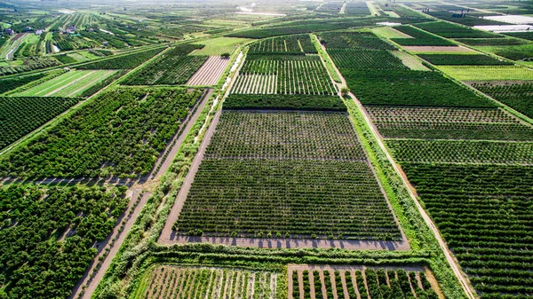 Grandes áreas de tierra fértil y cultivos en el sur de Croacia en el valle de Neretva — Foto de Stock