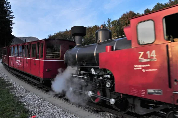 Schafberg Demiryolu Treni Yukarı Avusturya Salzburg Bulunan Bir Çarklı Demiryoludur — Stok fotoğraf