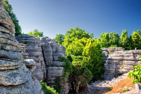 Erdő Természetes Rock Formáció Több Réteg Által Létrehozott Zagori Régió — Stock Fotó