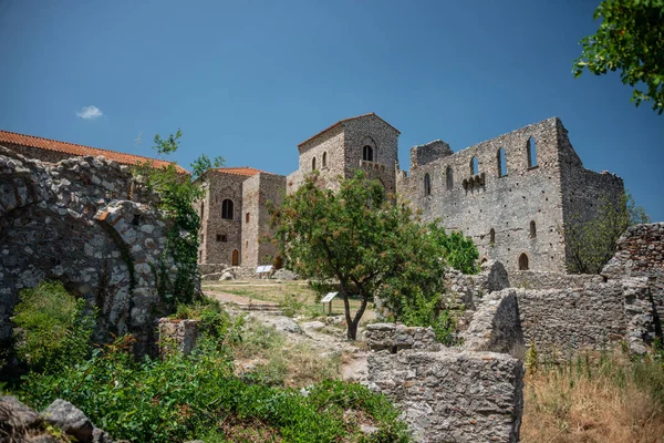 Μυστράς Ελλάδα Παλάτι Του Δεσπότη Ένας Αρχαίος Κάτοικος Του Δεσπατέτου — Φωτογραφία Αρχείου