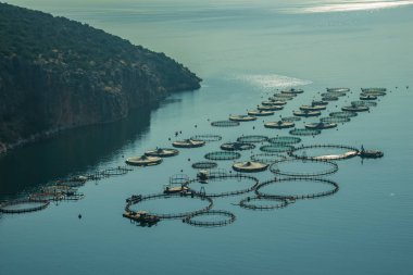 Yunanistan 'ın güney Peleponnes kentindeki Balık Yetiştirme Çiftliği Sabah Görüşü