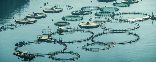 Morgonutsikt Över Fiskodlingsanläggningen Södra Peleponnes Grekland — Stockfoto